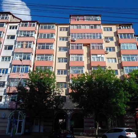 Studio With A View In City Center 特尔戈维什泰 外观 照片