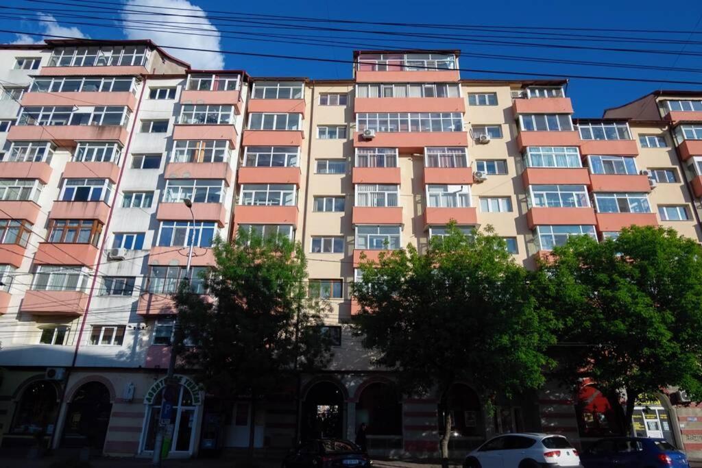 Studio With A View In City Center 特尔戈维什泰 外观 照片