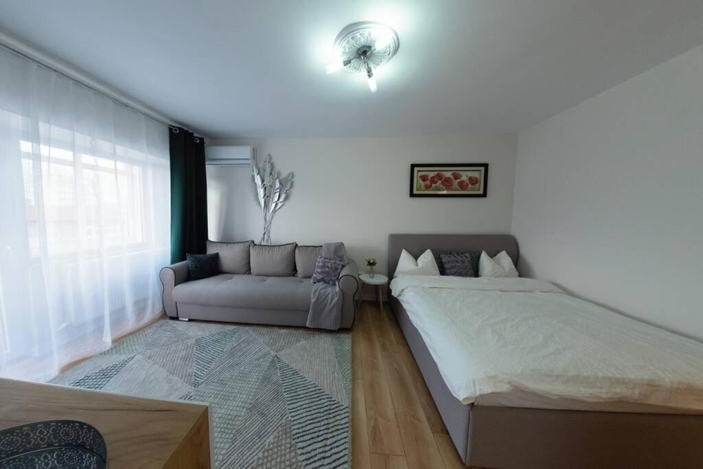 Studio With A View In City Center 特尔戈维什泰 外观 照片
